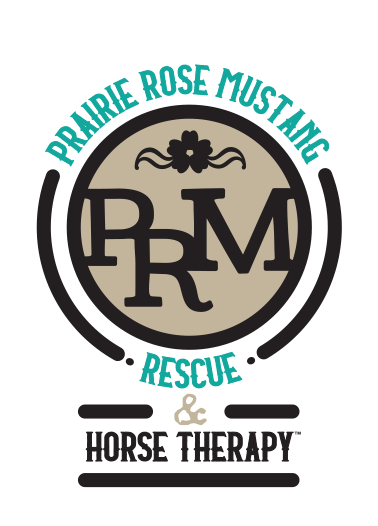 Prairie Rose Mustang Rescue